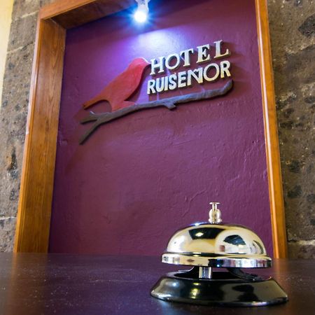 Hotel Ruisenor 圣米格尔－德阿连德 外观 照片